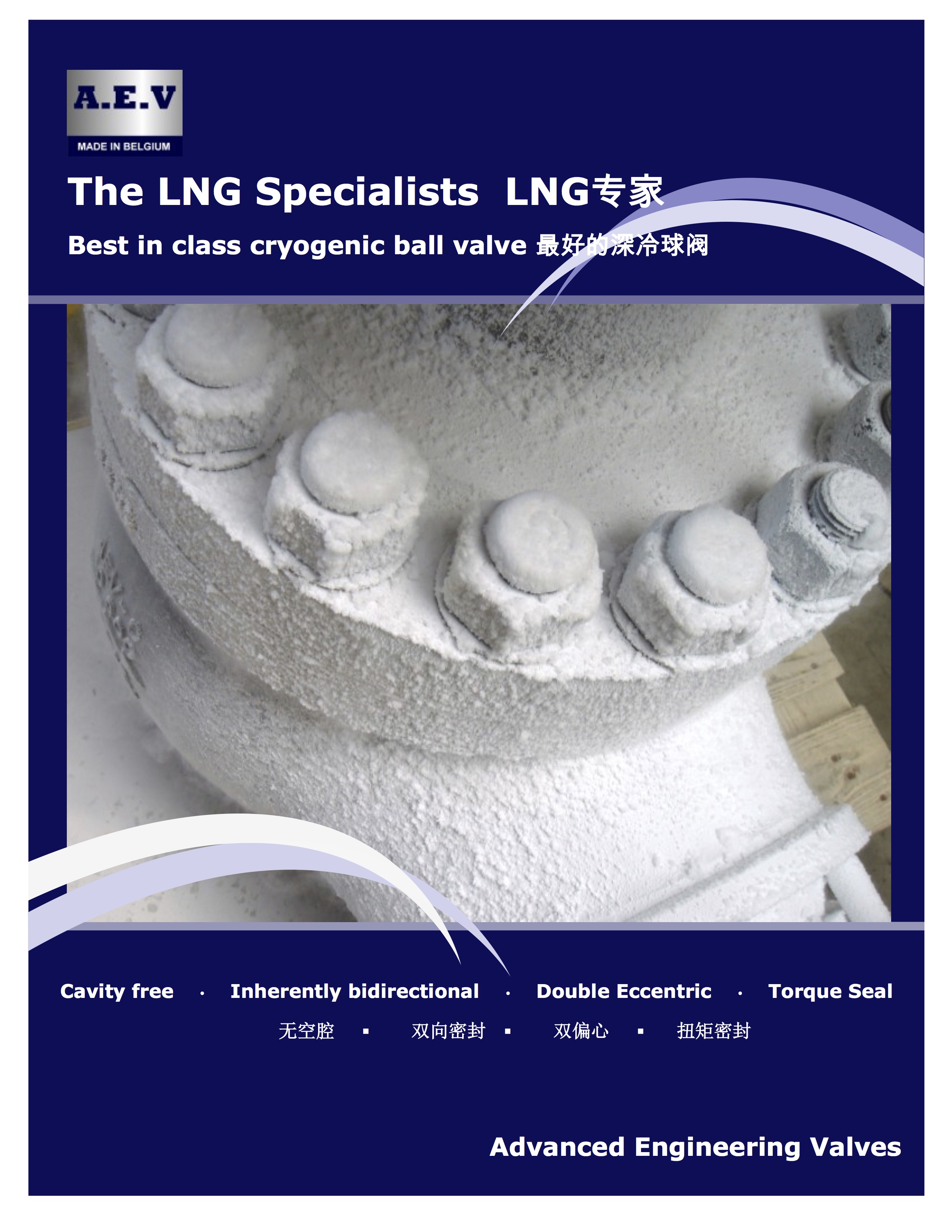 the-lng-specialists